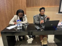 A step towards Integrated Service Delivery Improvement support to the public service