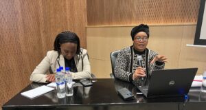 A step towards Integrated Service Delivery Improvement support to the public service