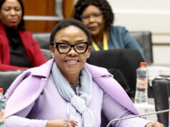 Deputy Minister Kekana leads service delivery programme to Zandspruit