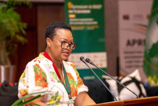 APRM’s Communicators’ Network embodies the spirit of digital innovation