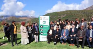 Govt intensify efforts to promote social justice and equity for all